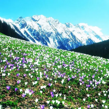 Lena Lägenhet Gerlos