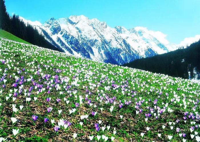 레나 아파트 겔로스